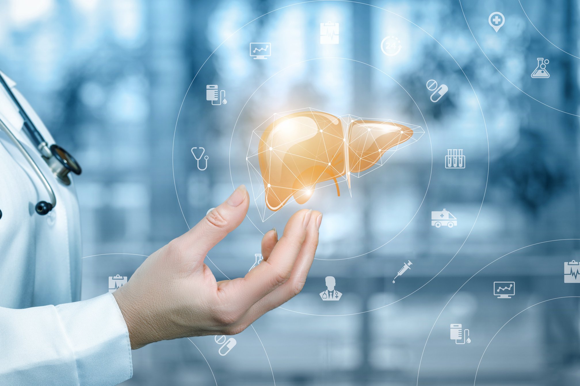 Medical worker shows the liver .